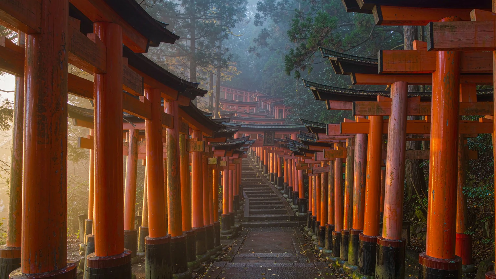 日本关西 7 日|伊豆·富士山·奈良·神户