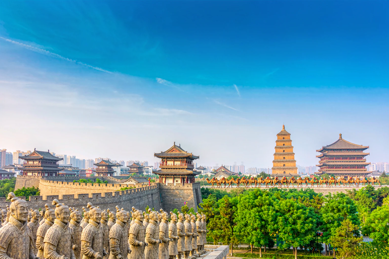 陕西旅游