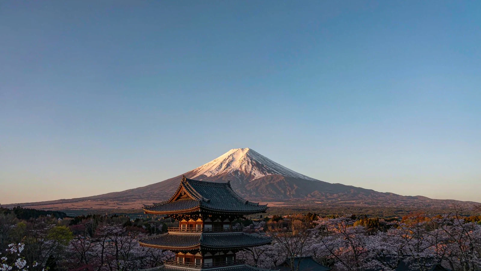 日本本州 7 日|东京·富士山·京都·大阪