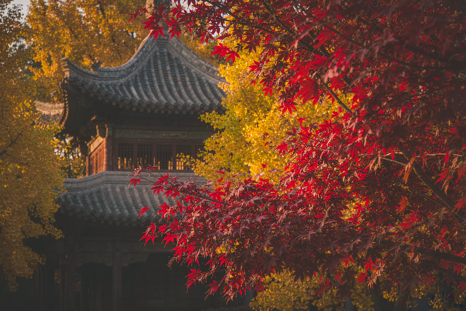 辽宁旅游